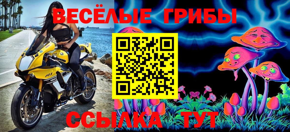 Галлюциногенные грибы мицелий  Вход с VPN  Менделеевск 